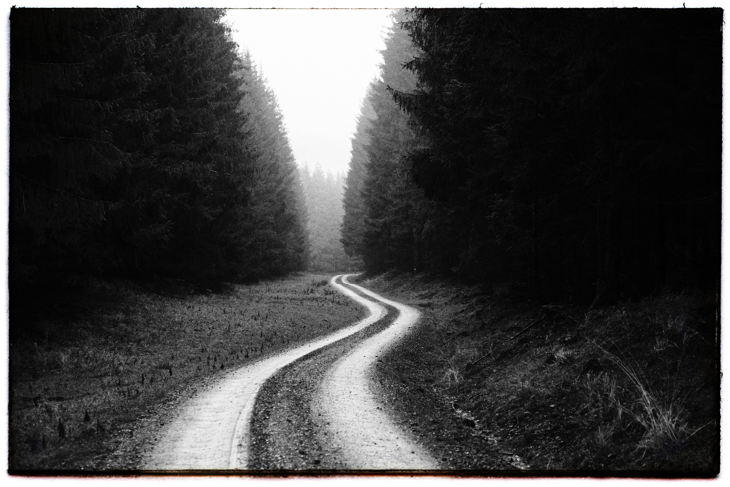 Postkarte aus Jossgrund 23.11.2020 - [GADV] Staffel 01 - Grüsse aus der Vergangenheit - Das Postkartenprojekt - Spessart Waldweg im Nebel