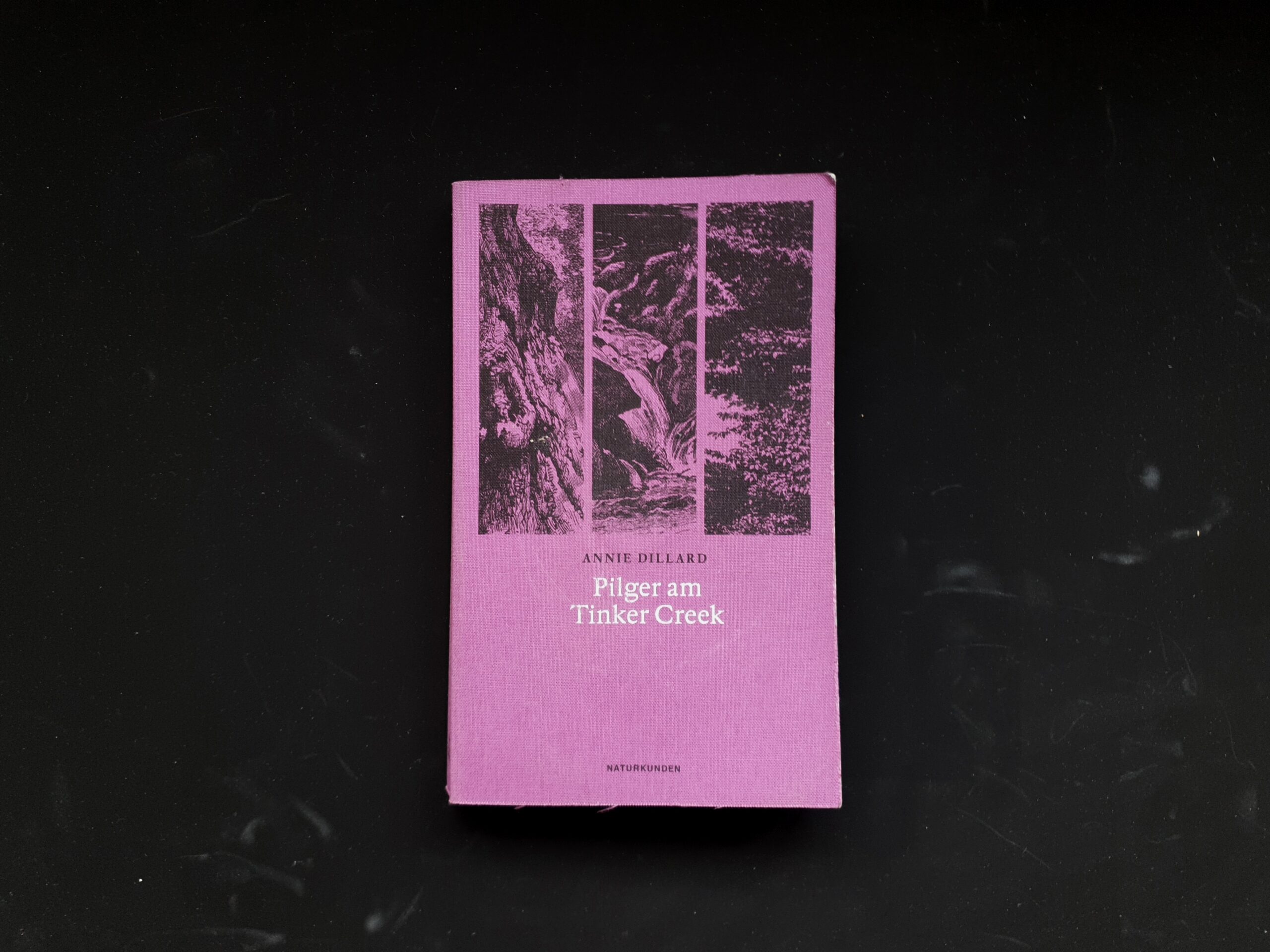 Pilger am Tinker Creek - Lesen Buch